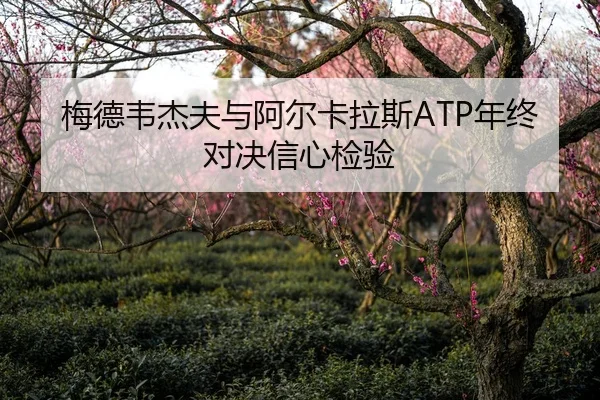 梅德韦杰夫与阿尔卡拉斯ATP年终对决信心检验